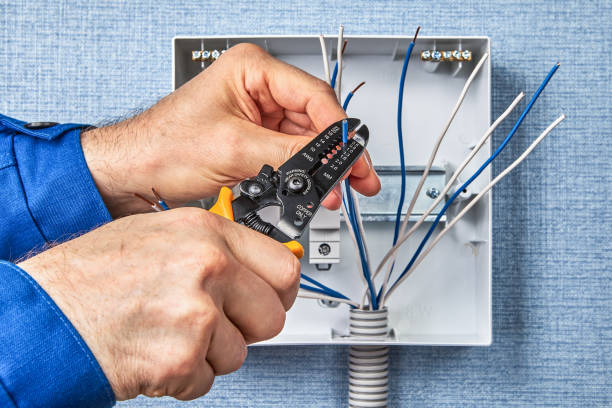 Best Electrical Maintenance Services  in Holloman Af, NM